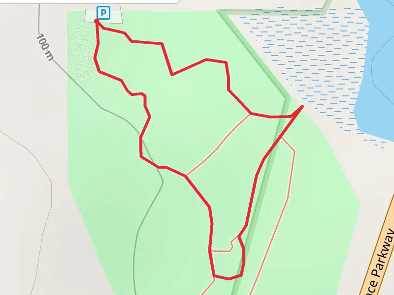 Simmons Arboretum Loop