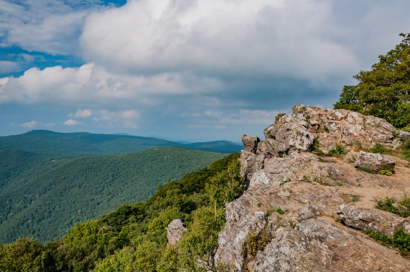 An image depicting the trail Lower Hawksbill Trail and its surrounding area.