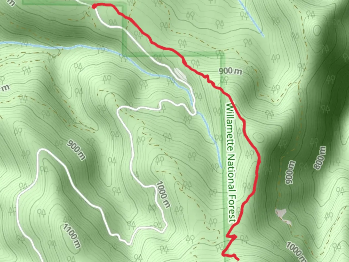 An image depicting the trail Lost Creek Trail - Short and its surrounding area.