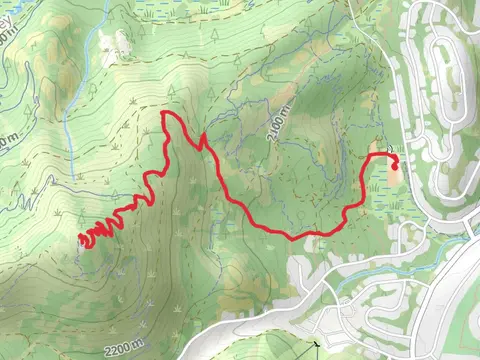 Upper Mother Lode