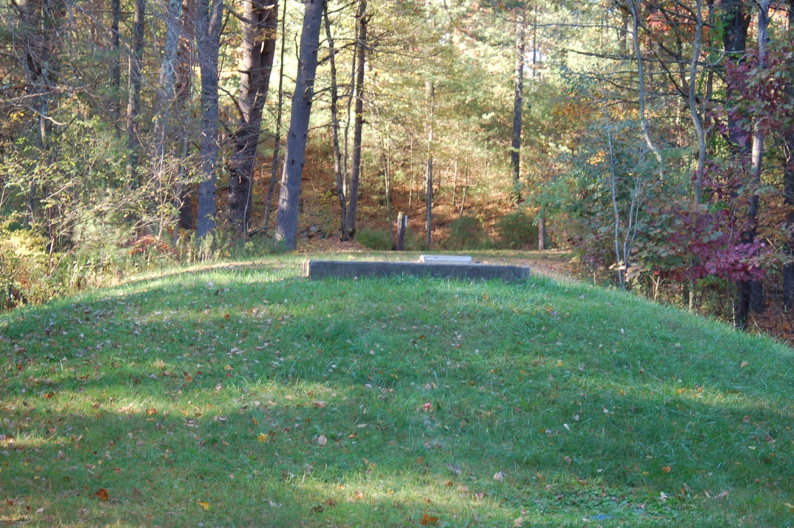 An image depicting the trail Coyote Loop and its surrounding area.