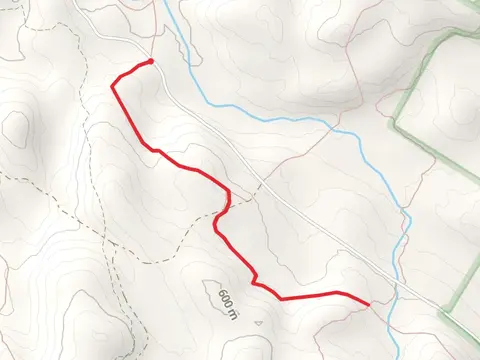Beartown State Forest