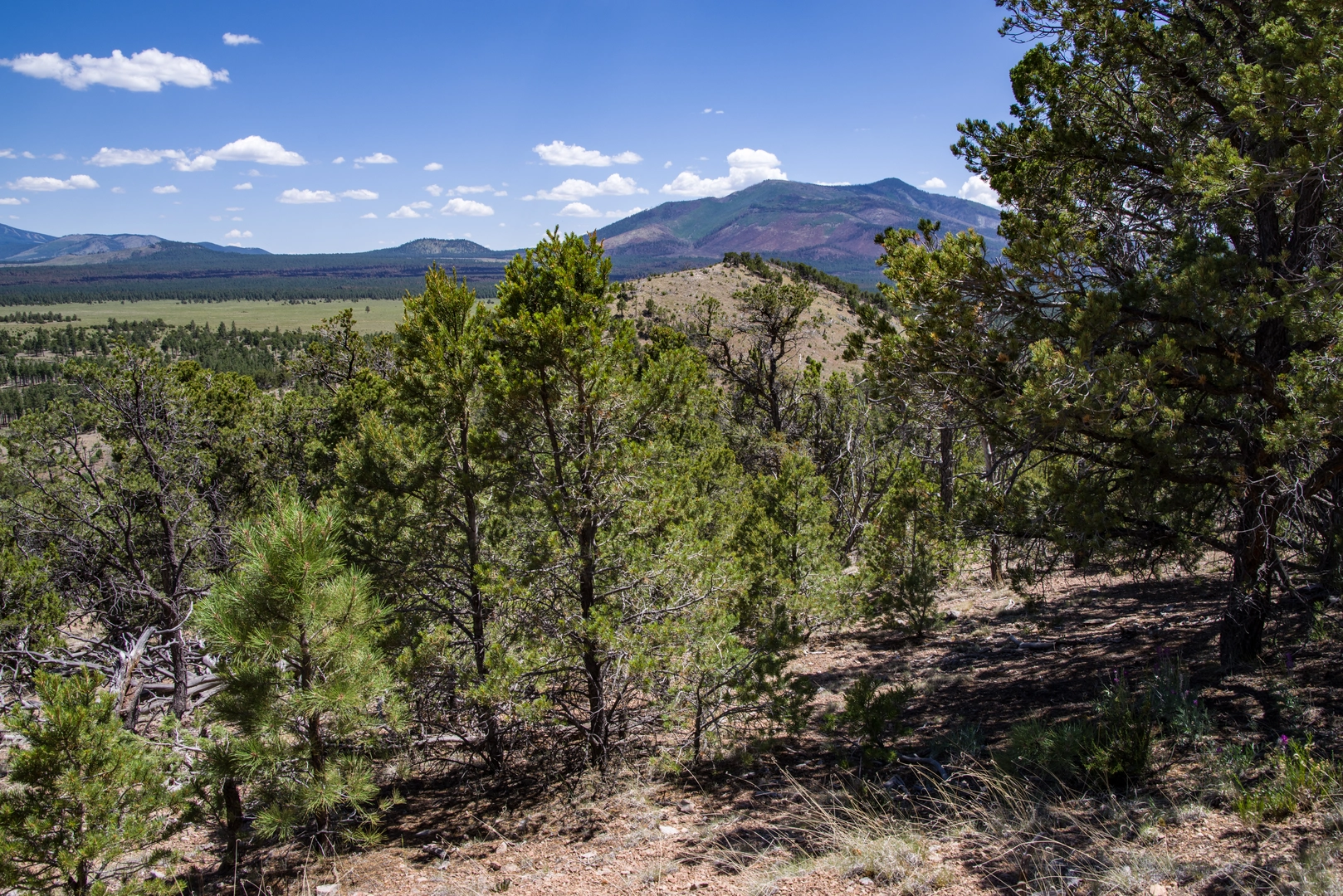 An image depicting the trail Slate Mountain and its surrounding area.
