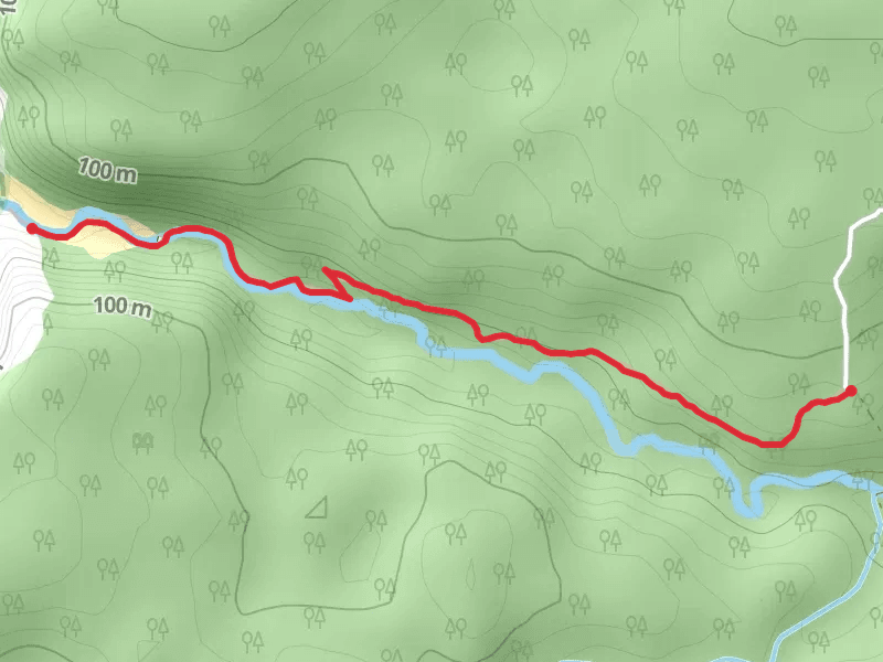 Ravine des Casoars Hike