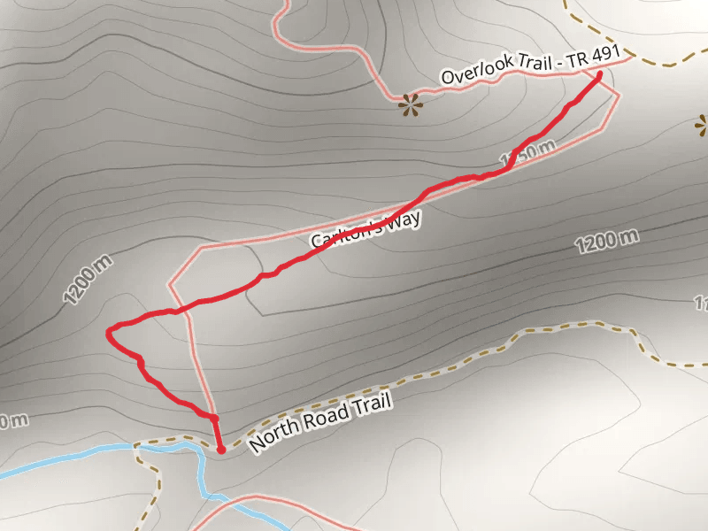 Carltons Way Trail