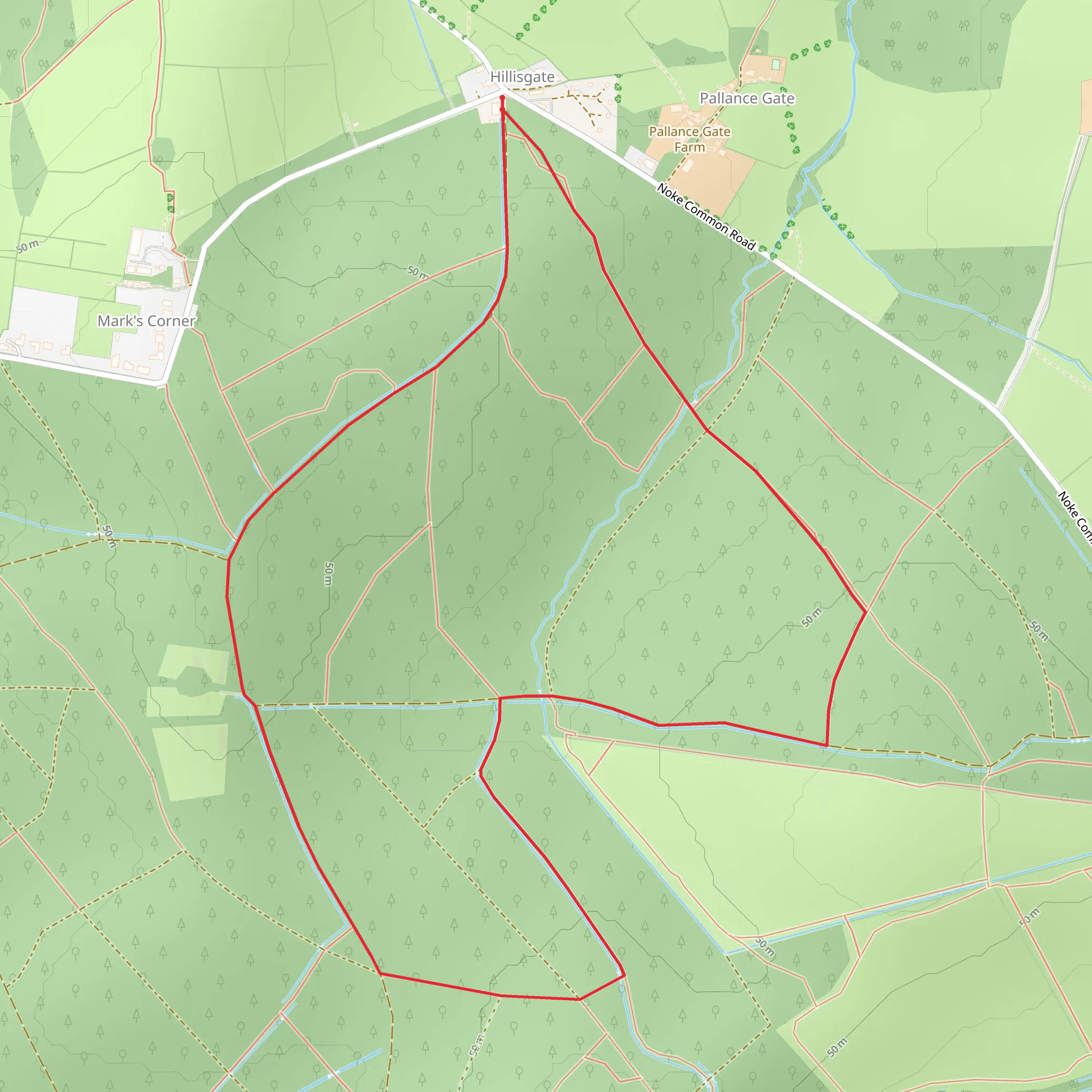 Parkhurst Forest from Hillisgate | Isle of Wight | England