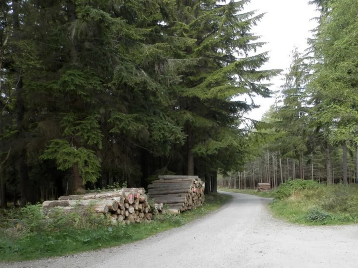 An image depicting the trail Ord Hill Loop Trail and its surrounding area.
