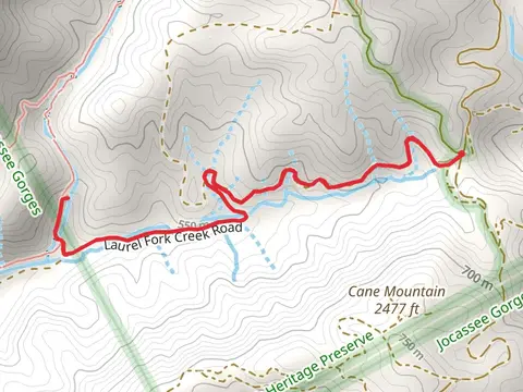 Laurel Fork Creek Road