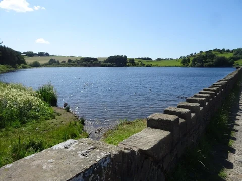 Darwen Tower Loop