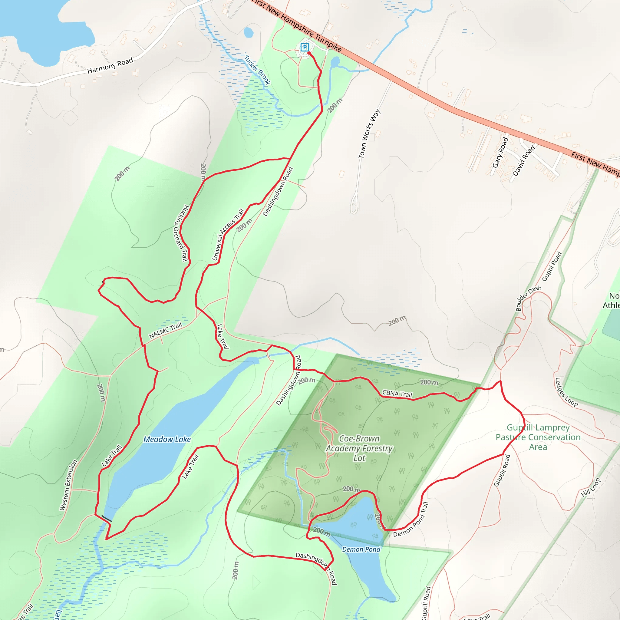 Demon Pond and Meadow Lake Loop Trail mobile static map