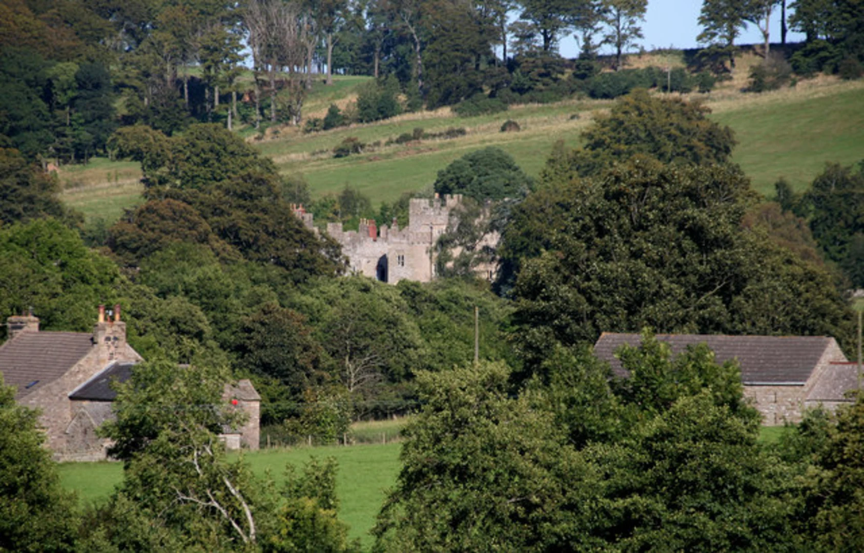 An image depicting the trail Diamind Oak and Hall Bank Head Loop and its surrounding area.