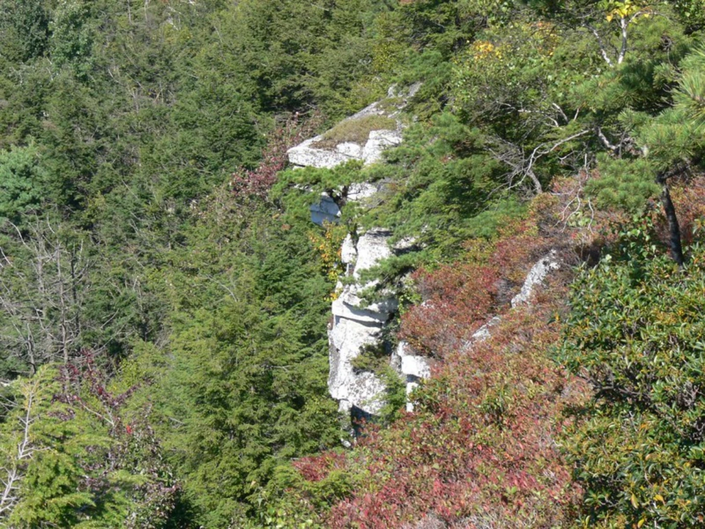 An image depicting the trail Shawangunk Ridge Trail and Strokes Trail Loop and its surrounding area.
