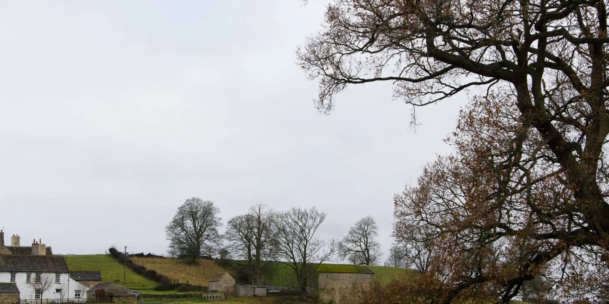 An image depicting the trail Masham - Ripon Rowel - Shaws Bridge - River Burn and River Ure and its surrounding area.