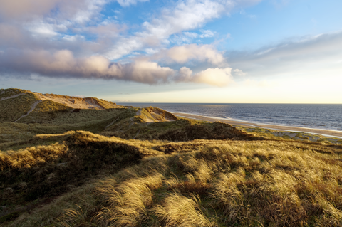 Jouke Minkemapad and Muizen Weg and Rand Weg Loop