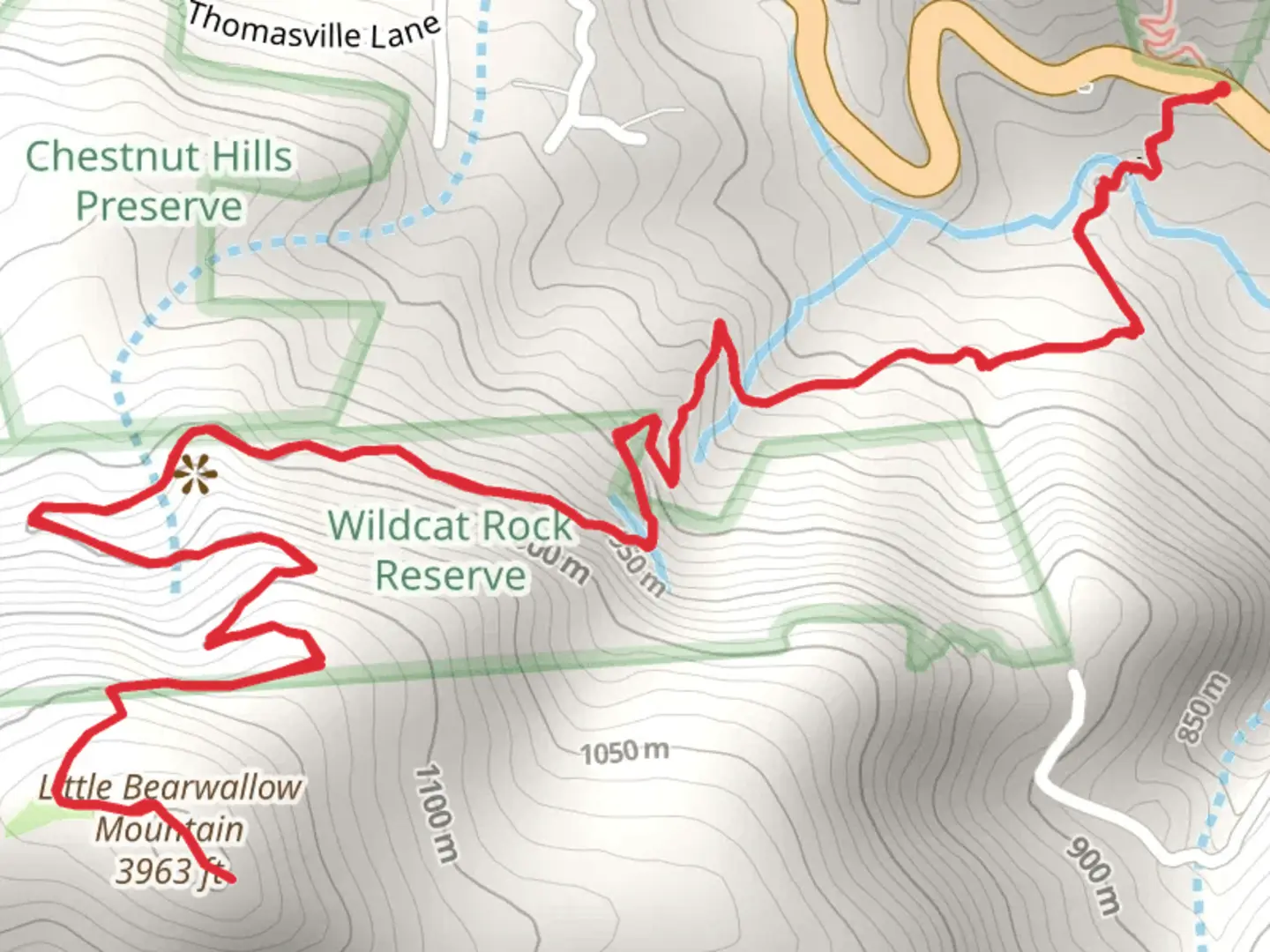 An image depicting the trail Little Bearwallow Mountain via Wildcat Rock Trail and its surrounding area.