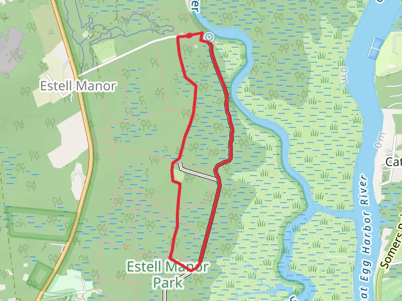 Swamp Loop Trail