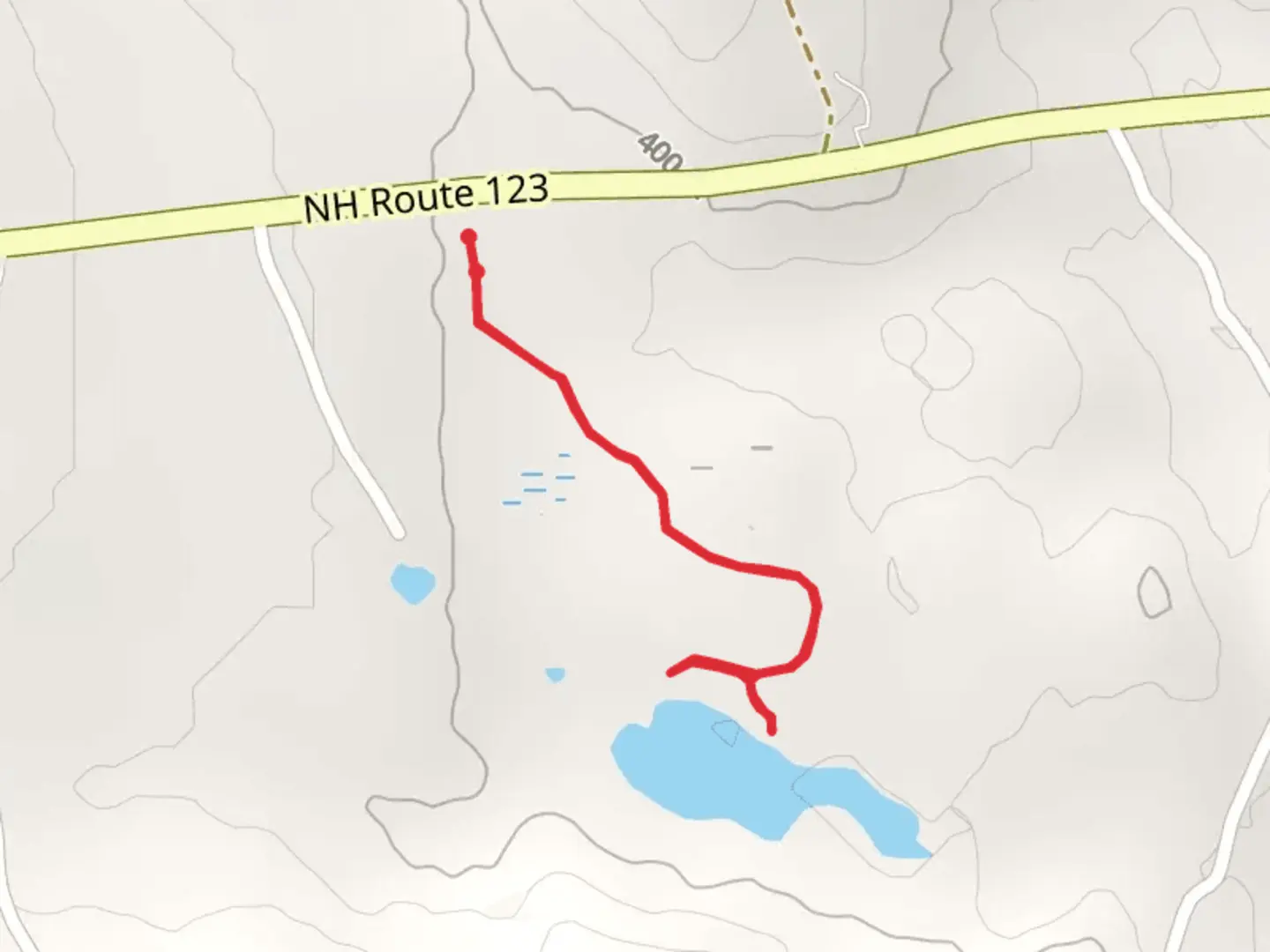 An image depicting the trail Marlo - Forest Road and its surrounding area.