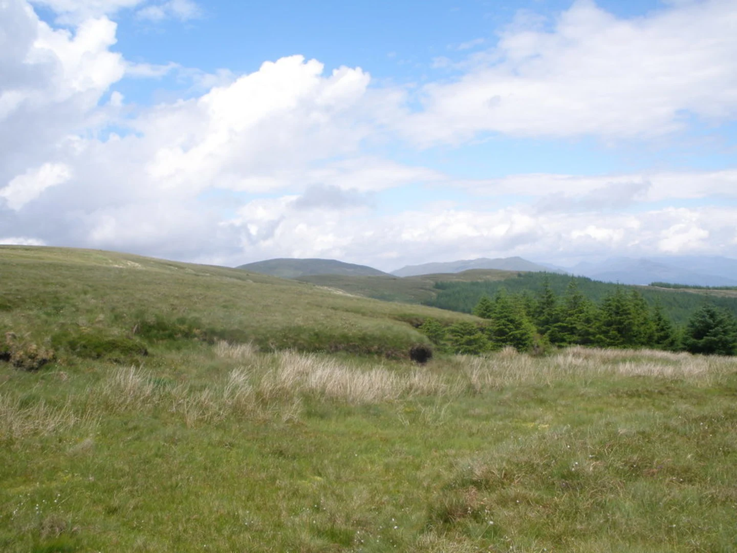 An image depicting the trail John Jackson Loop Trail and its surrounding area.