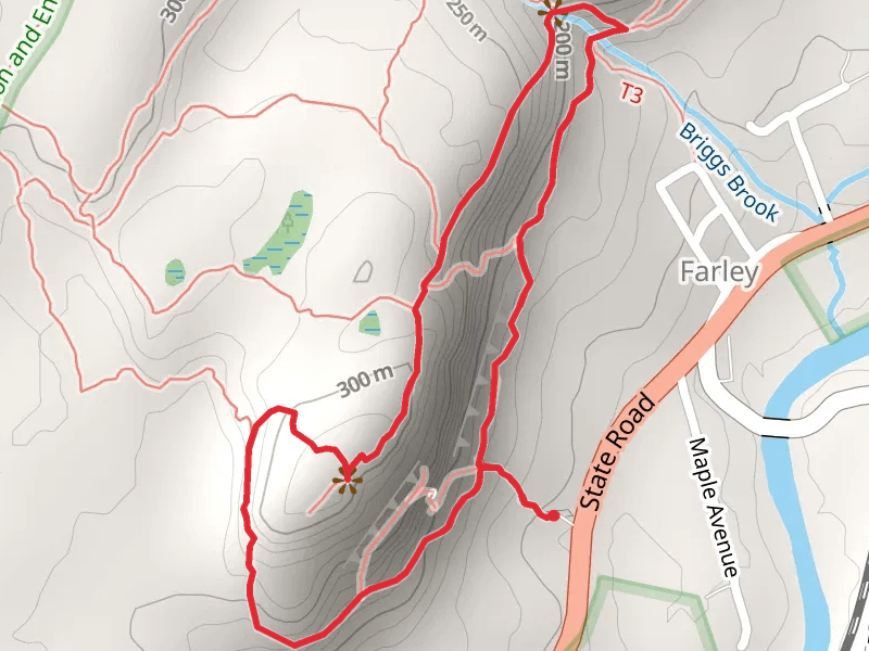 Rattlesnake Mountain via Red Trail and Farley Ledge Loop