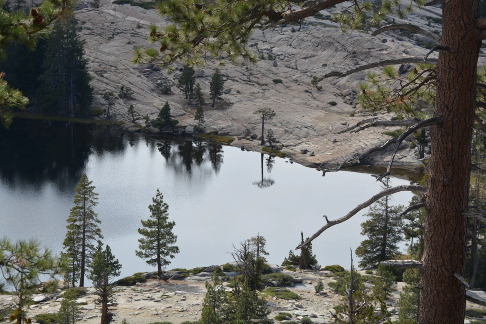 An image depicting the trail Shealor Lake Trail and its surrounding area.