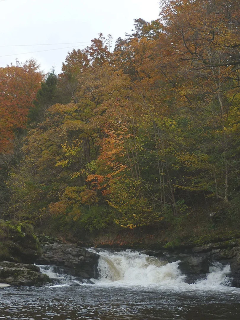River Kent and Levens Park Loop | Westmorland and Furness | England