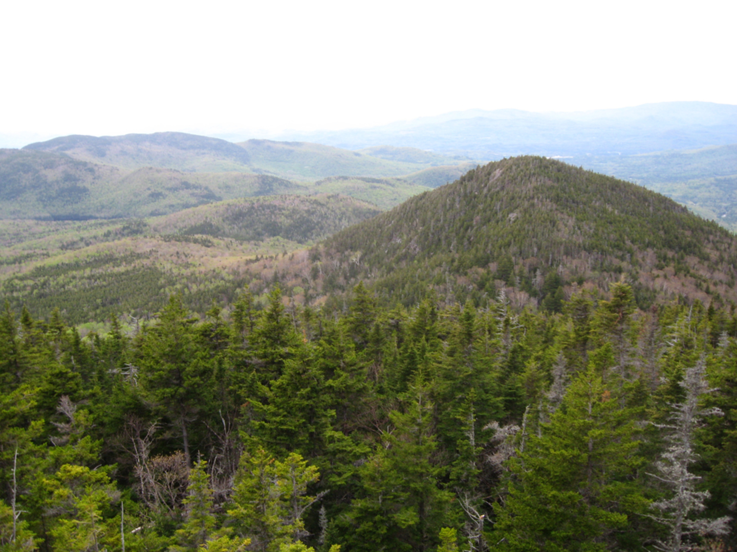 An image depicting the trail Hall's Ledge Trail and its surrounding area.