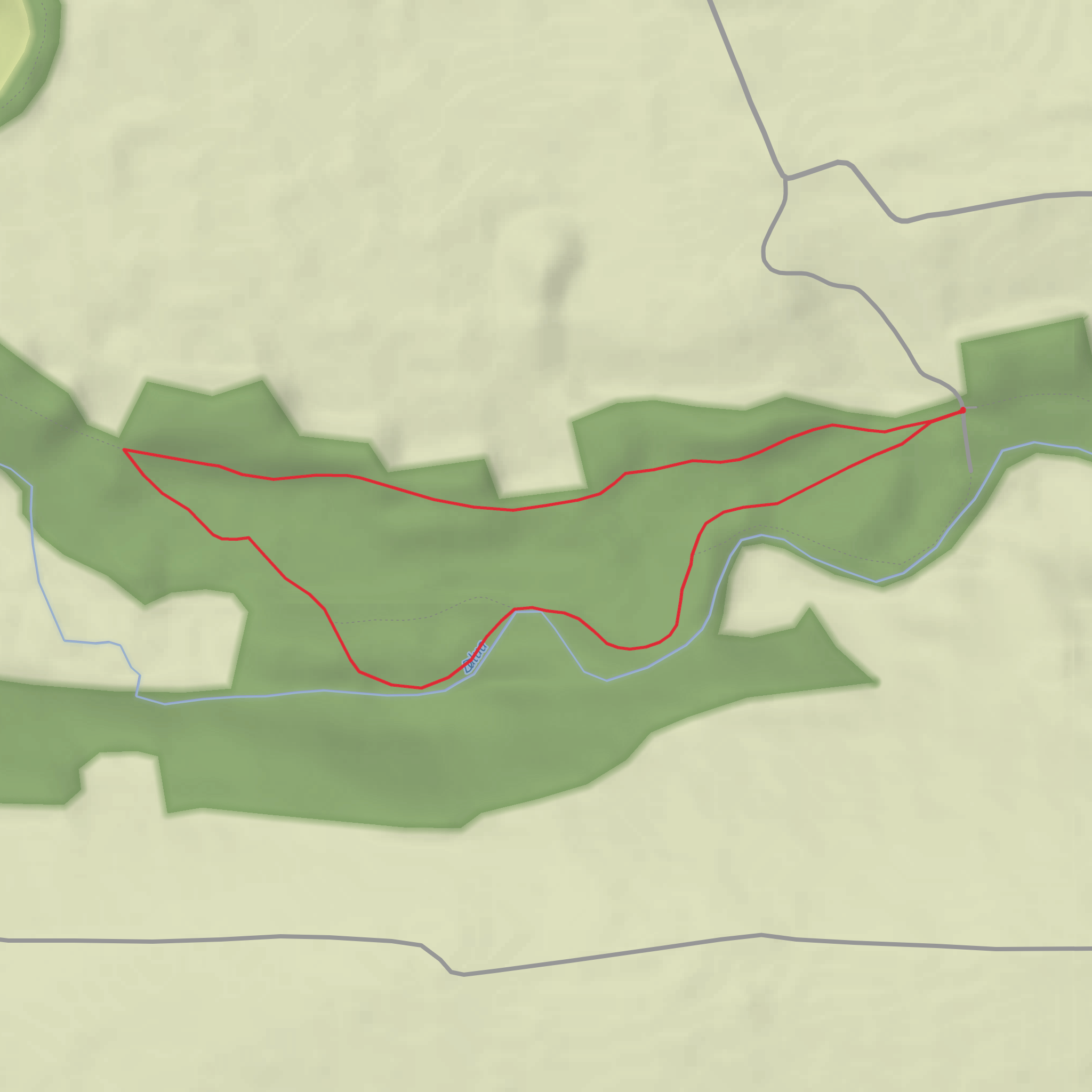The Island Wood - Forestry Purple Loop mobile static map