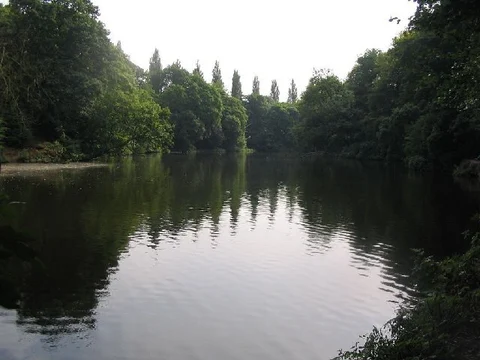 Lymm Dam Loop