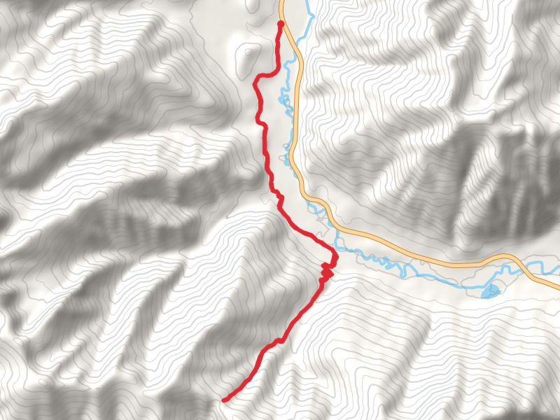 Napoleon Gulch Trail via Dry Creek Trail