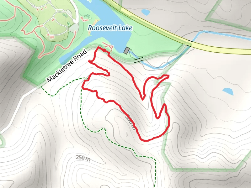 Lookout Loop Trail - Roosevelt Lake