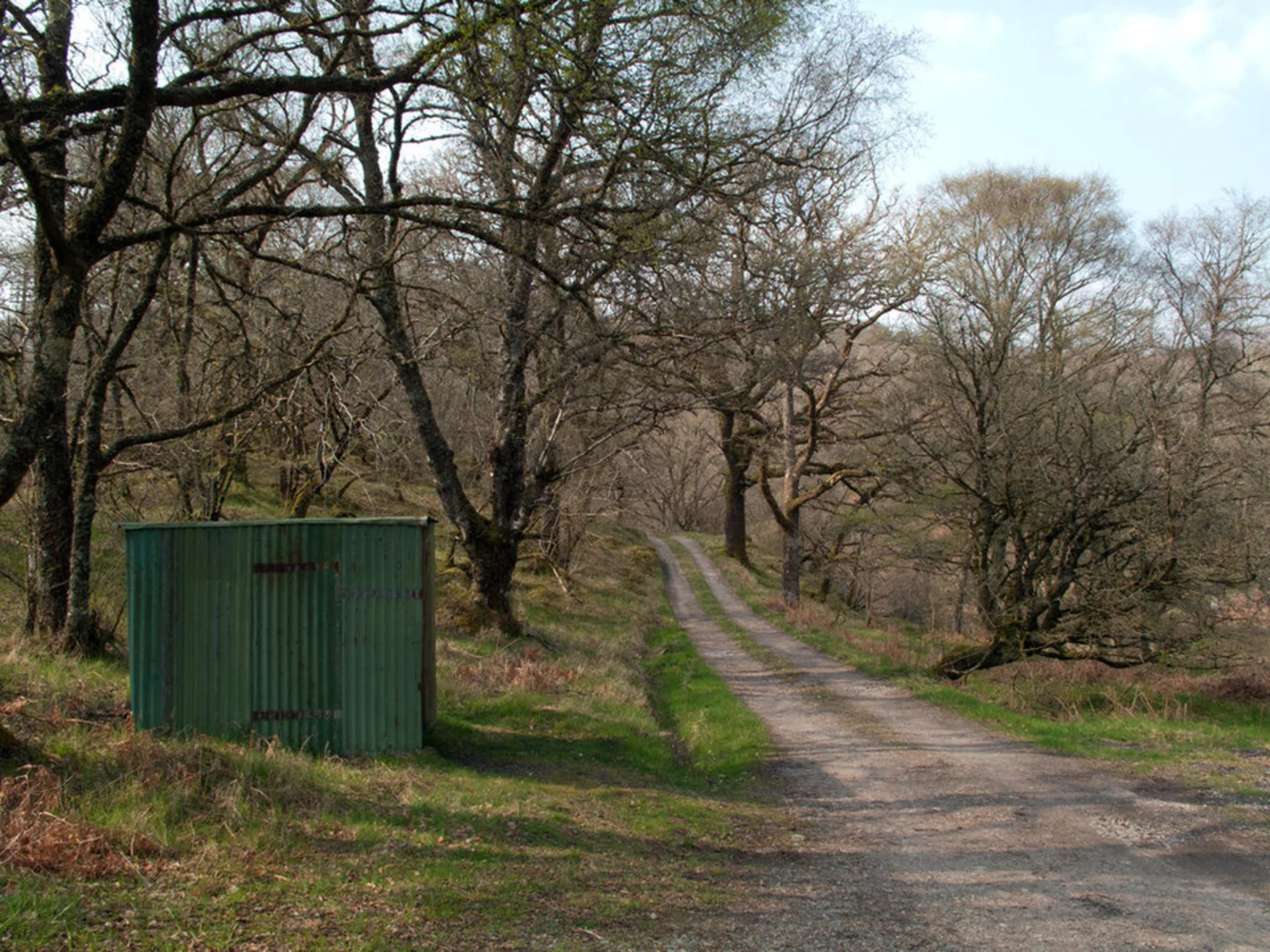 An image depicting the trail Àrd-Àirigh Loop Trail and its surrounding area.