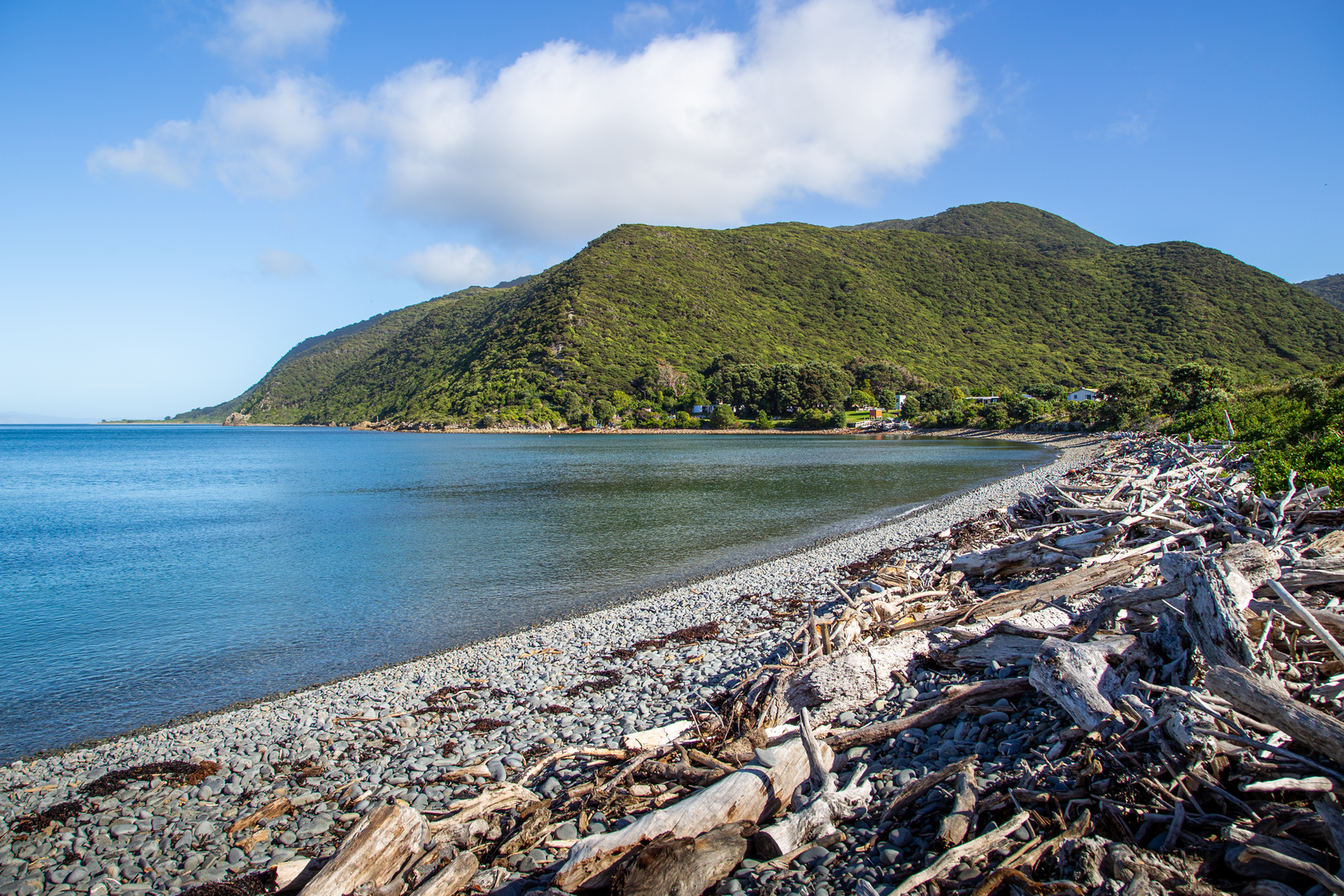 An image depicting the trail Kapiti Marine Reserve North Track and its surrounding area.