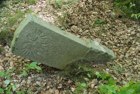 Käfertaler Wald and Neuwald Loop
