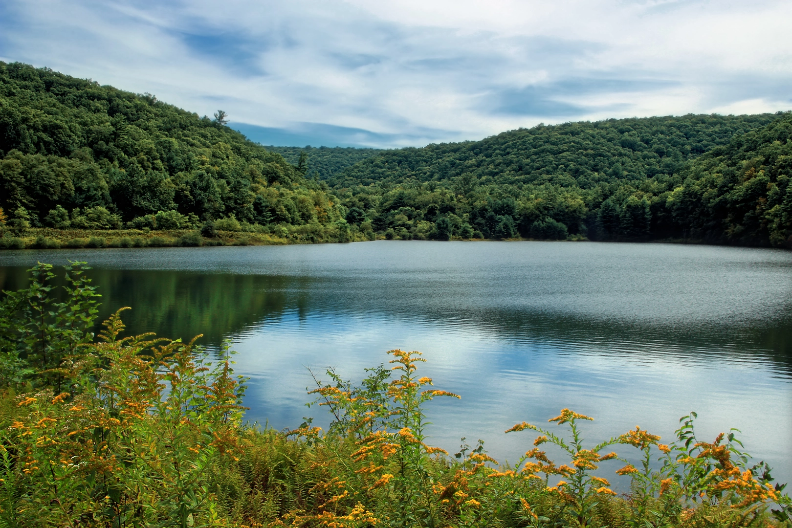 An image depicting the trail East Kammerdiner Run via Keller Reservoir and its surrounding area.