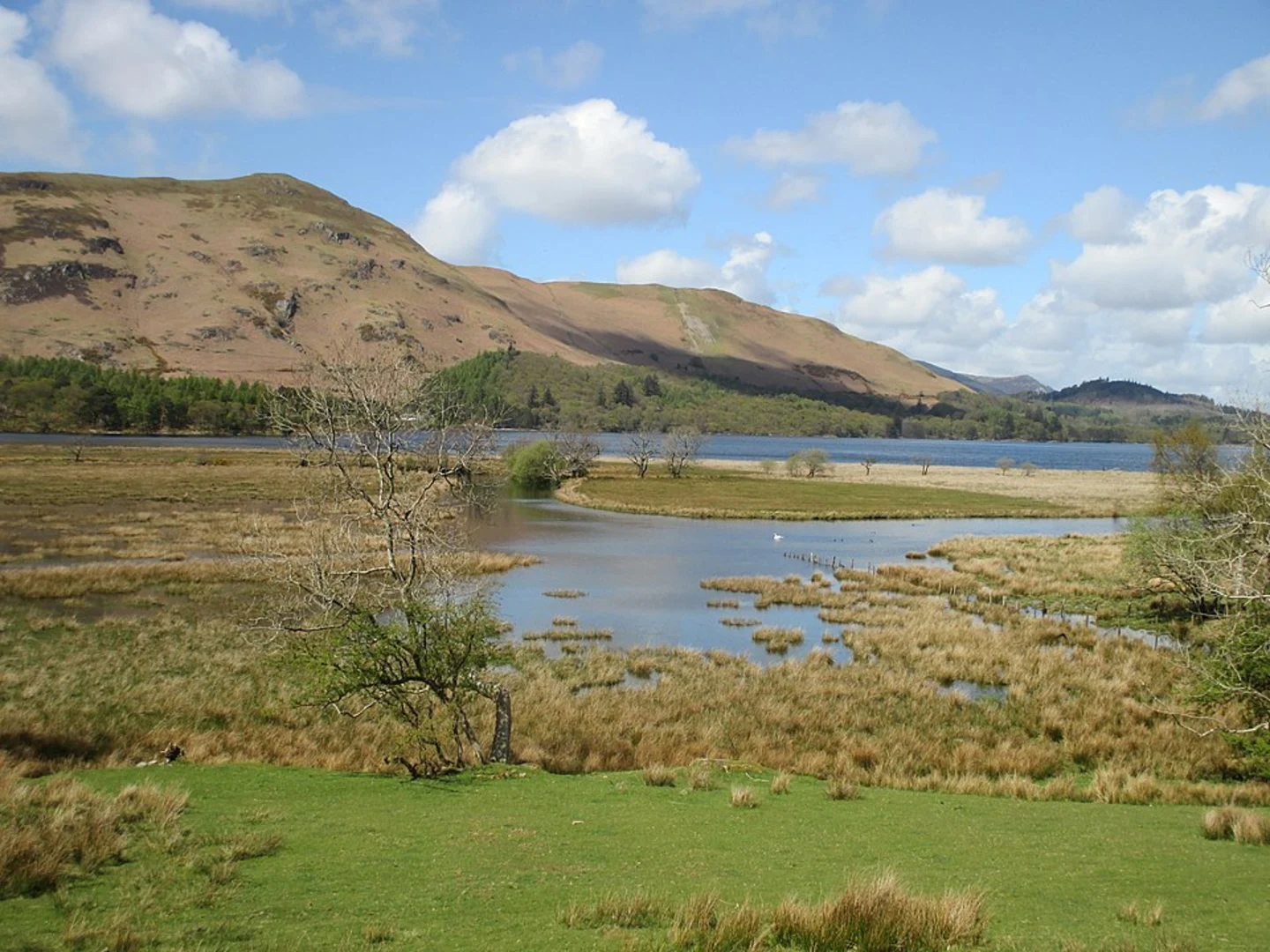 An image depicting the trail The Lingholm House and Cat Bells Walk - Portinscale and its surrounding area.