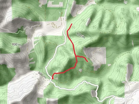 Secret Way Trail