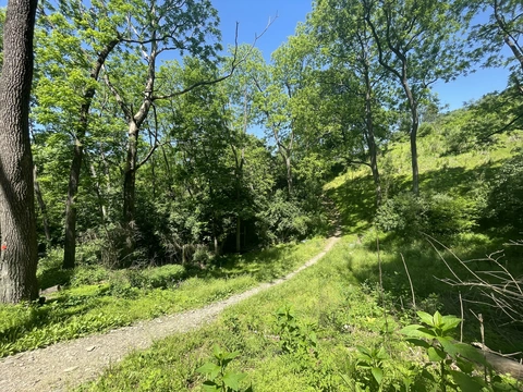 Mill Hill Loop via Turkey Ridge and Brian's Trail