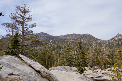 Deer Springs Trail, PCT and Round Valley Trail