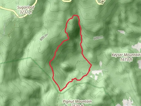 Keyser Run Road Loop