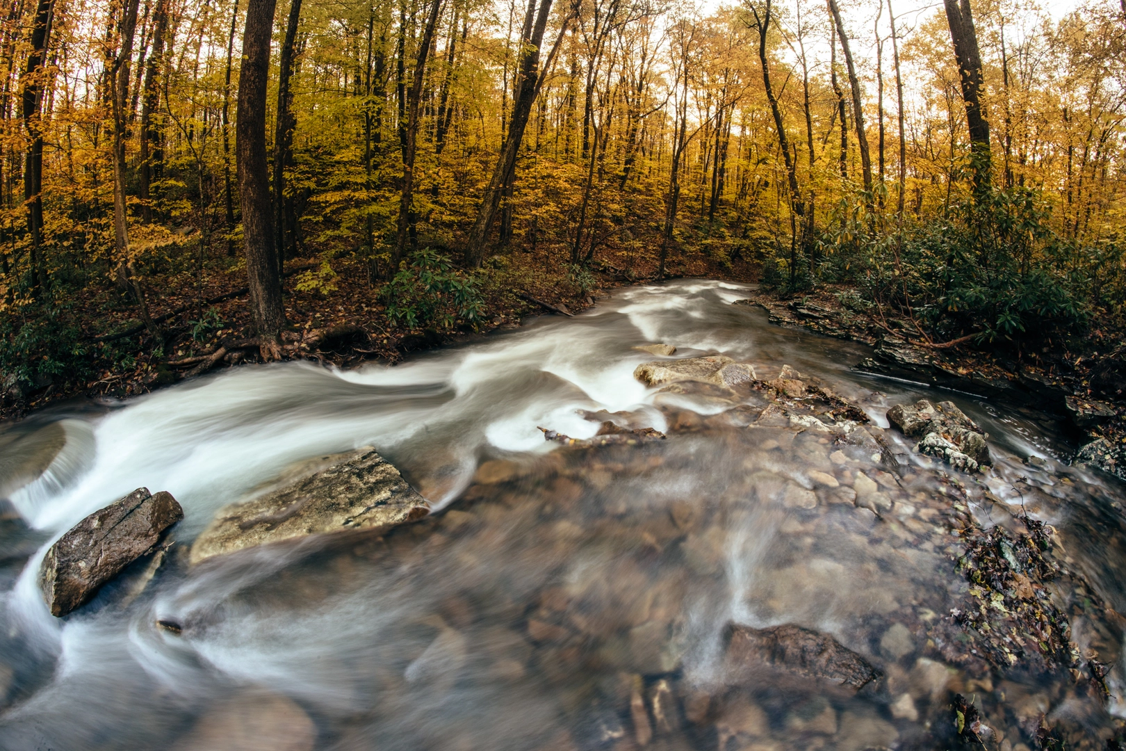 An image depicting the trail Lick Run and Redstone Creek and its surrounding area.