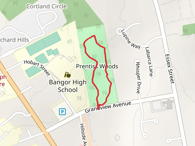 Prentiss Woods Loop
