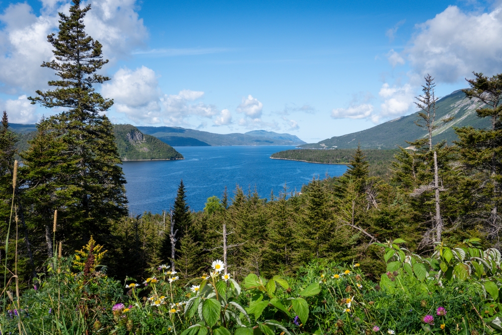An image depicting the trail Gros Morne National Park of Canada and its surrounding area.