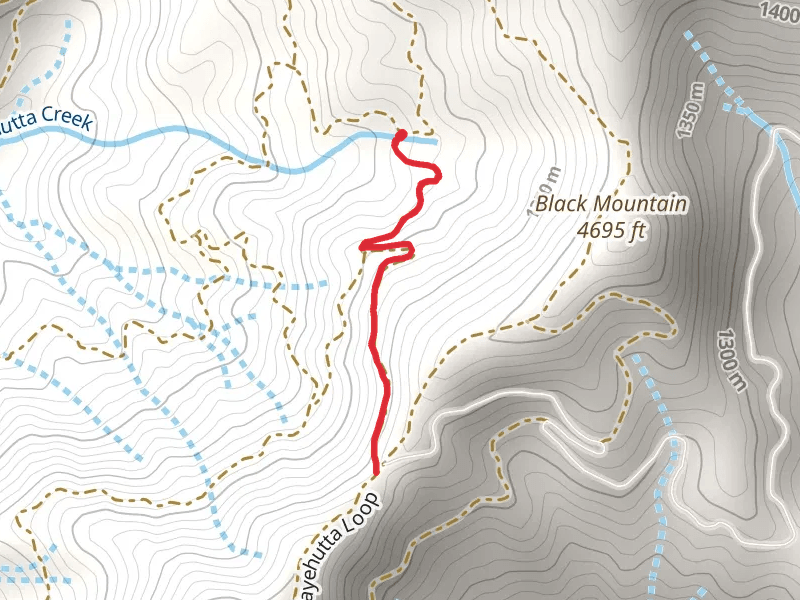 Upper Wayehutta Creek Trail