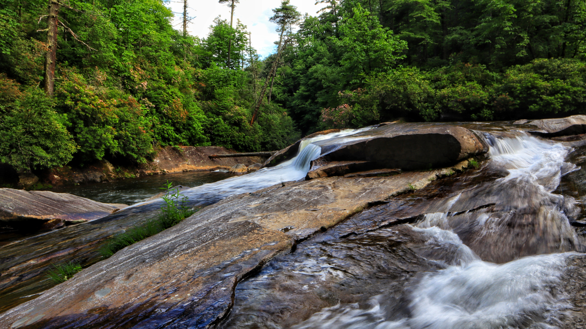 An image depicting the trail Chattooga River Trail and its surrounding area.