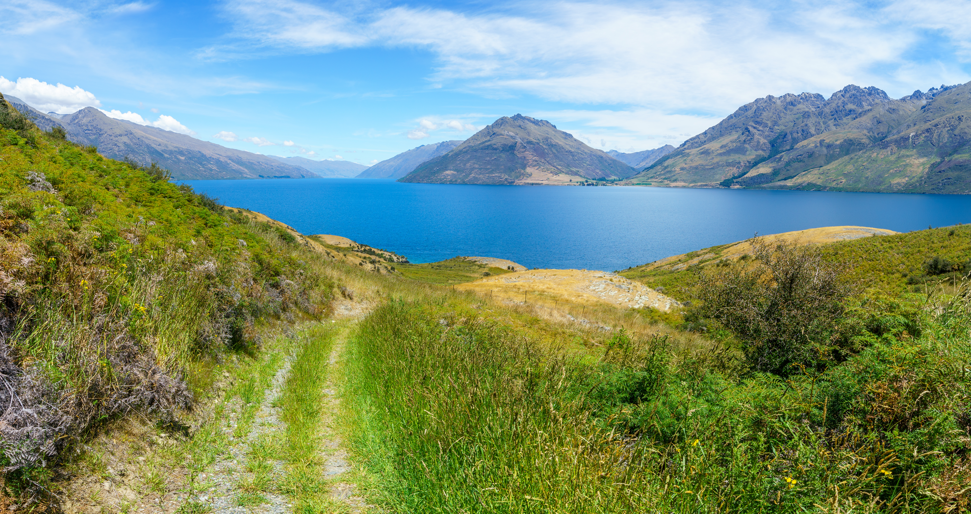 An image depicting the trail Jack's Point Track and its surrounding area.