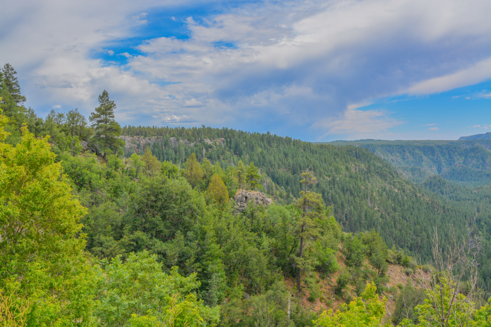 An image depicting the trail Scott Springs Trail and its surrounding area.