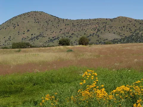 Arizona Trail - Passage 2 - Canelo Hills West Trail