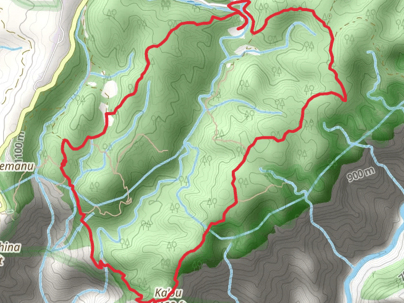 Canyon, Waininiua and Halemanu-Kōkeʻe Loop Trail
