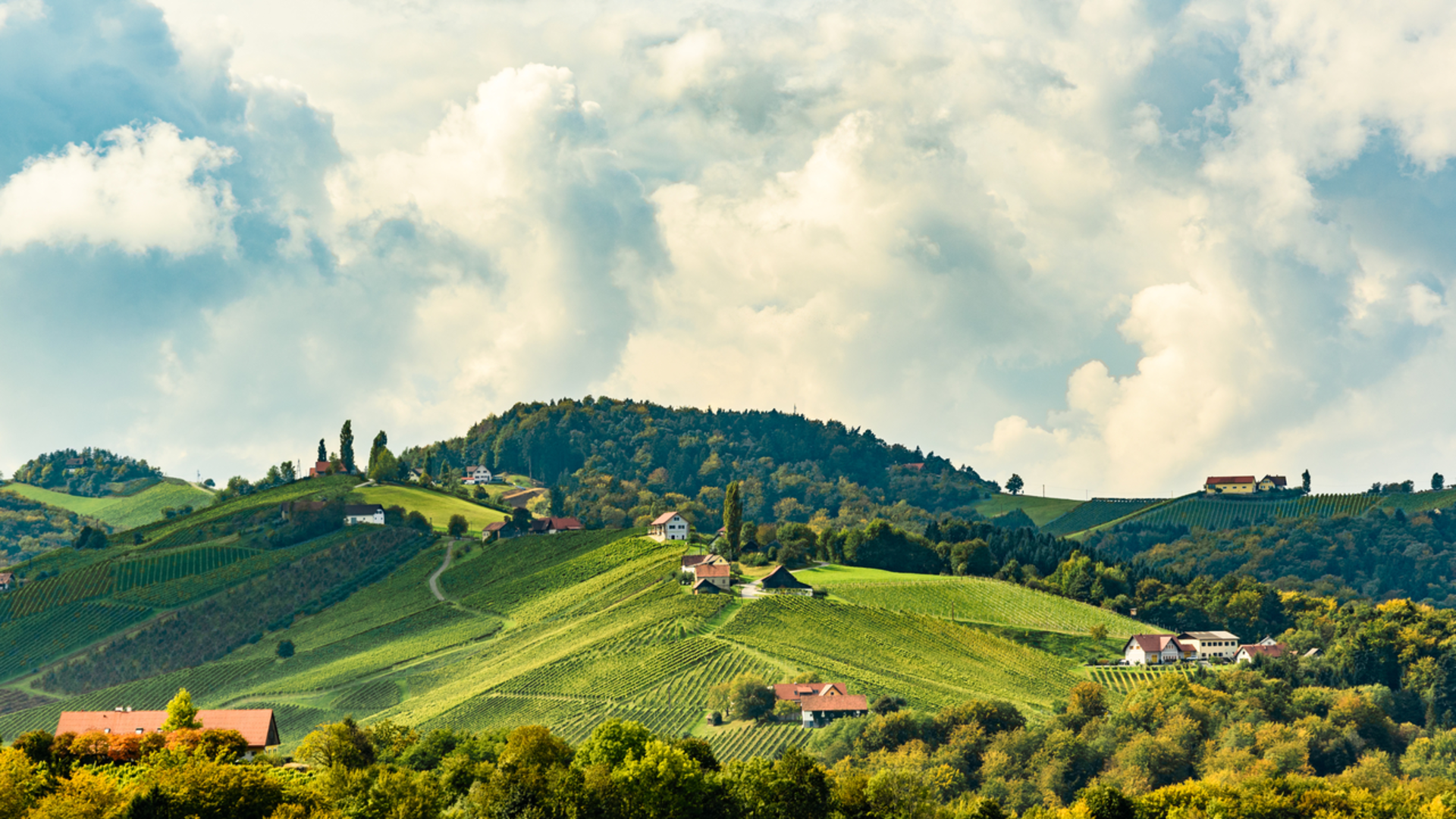 An image depicting the trail Festungsrundgang and its surrounding area.