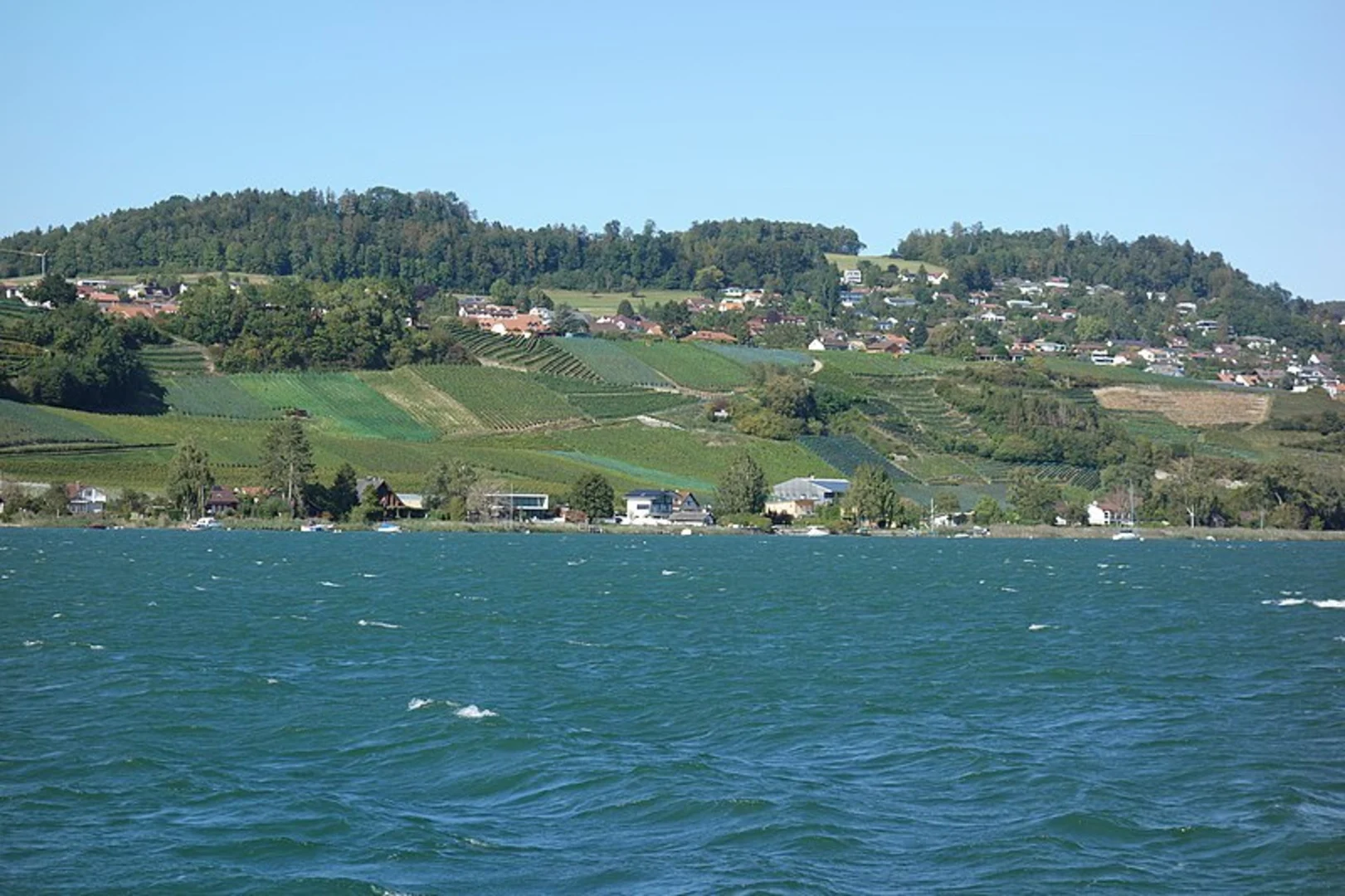 An image depicting the trail Chemin du Lac de Morat and its surrounding area.